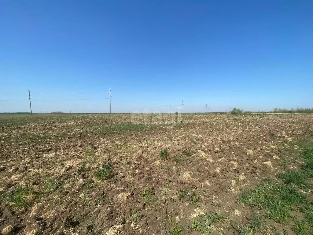 Участок в Краснодарский край, Ейск  (6.0 сот.) - Фото 1