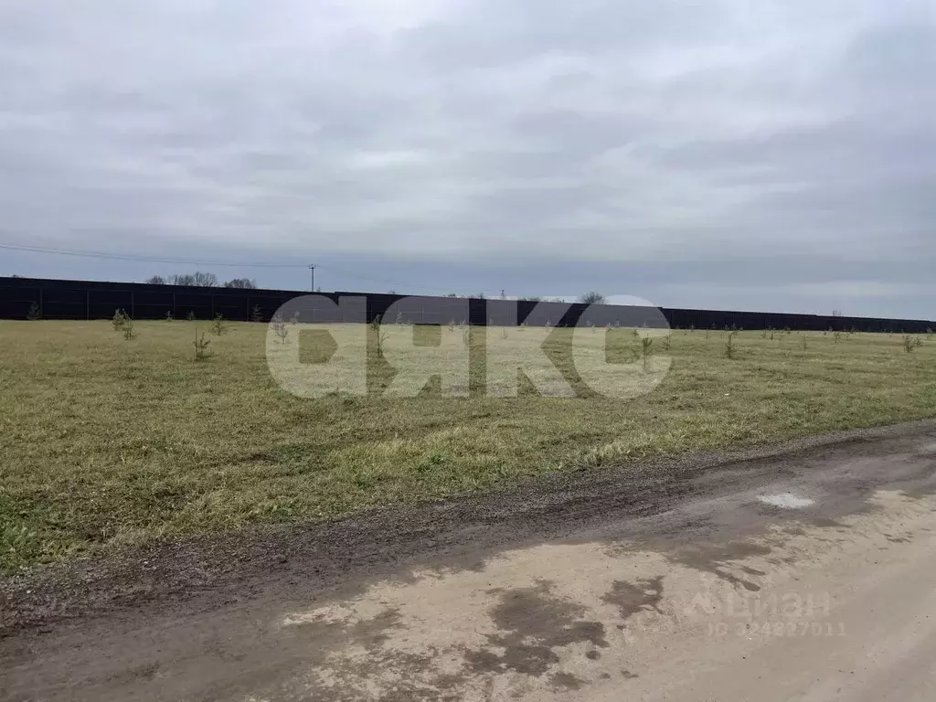 Участок в Московская область, Раменский муниципальный округ, Березовый ... - Фото 2