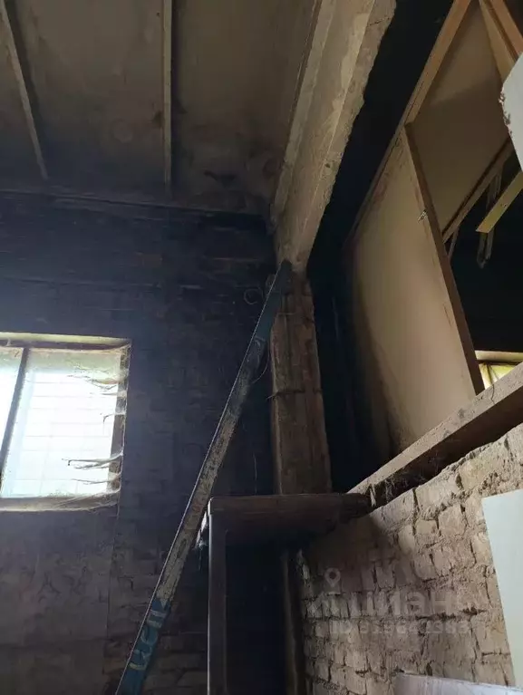 Помещение свободного назначения в Хабаровский край, Хабаровск ул. ... - Фото 1
