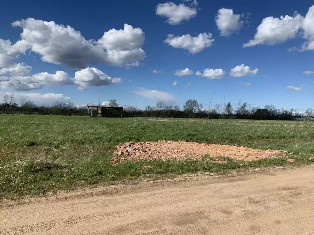 Участок в Новгородская область, Новгородский район, Борковское с/пос, ... - Фото 1