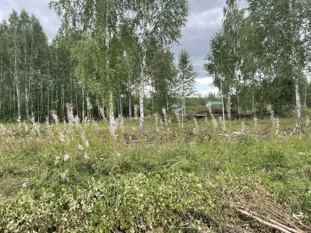 Участок в Челябинская область, Сосновский район, Кременкульское с/пос, ... - Фото 0