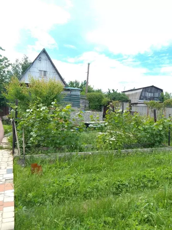 Участок в Волгоградская область, Городищенский район, Ерзовское ... - Фото 1