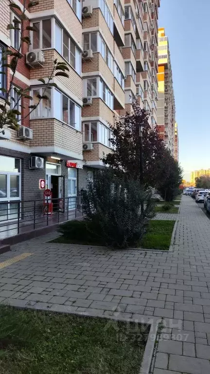 Помещение свободного назначения в Краснодарский край, Краснодар ул. ... - Фото 2