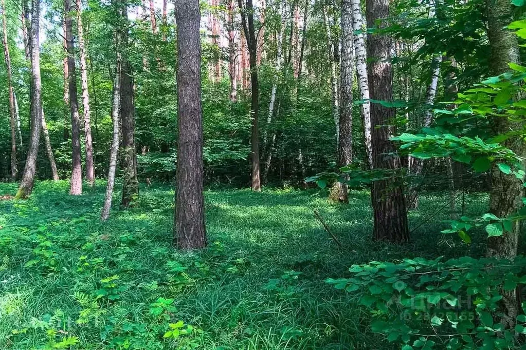 Участок, 19 сот., поселения (ижс) - Фото 1