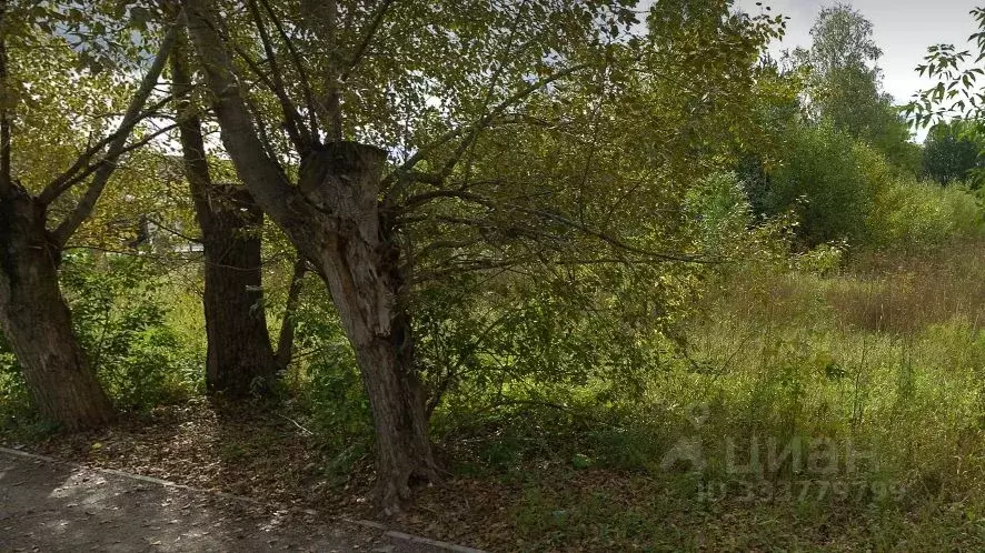 Участок в Пермский край, Кунгур ул. Бачурина (50.93 сот.) - Фото 1