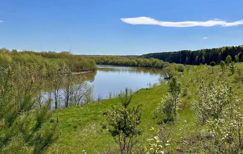 Участок в Пермский край, Кунгурский муниципальный округ, д. Уфа ул. ... - Фото 1