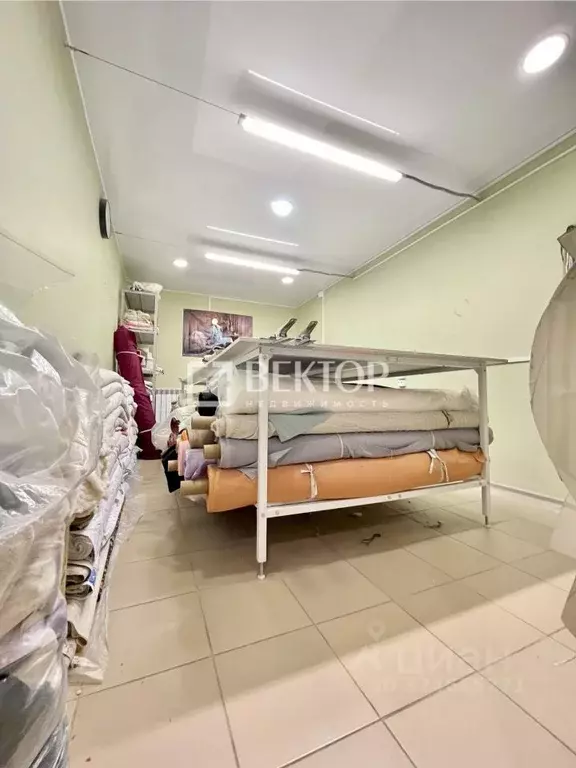 Помещение свободного назначения в Костромская область, Кострома ул. ... - Фото 1