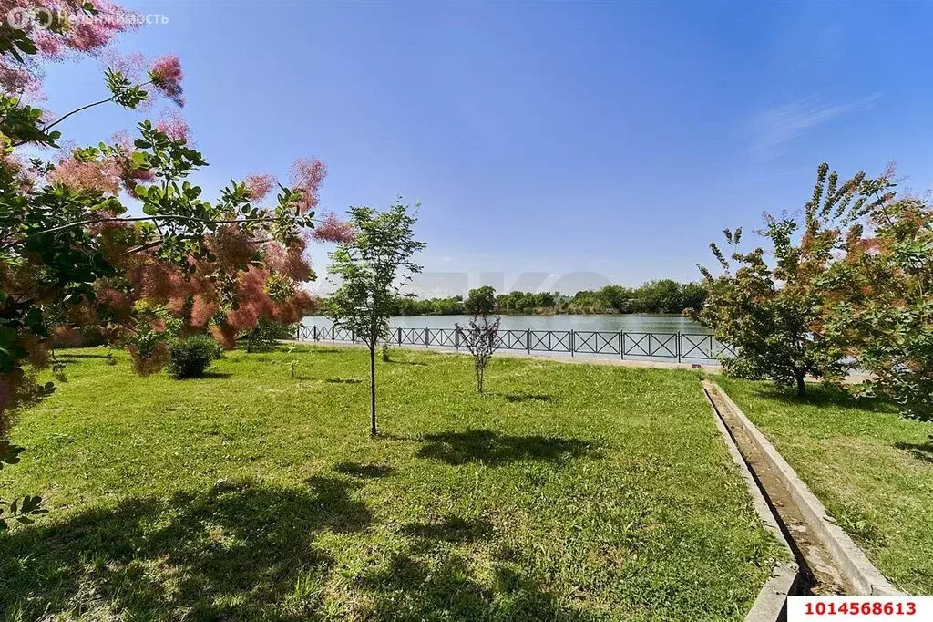 Участок в станица Платнировская, улица Карла Маркса, 15 (16.42 м) - Фото 1