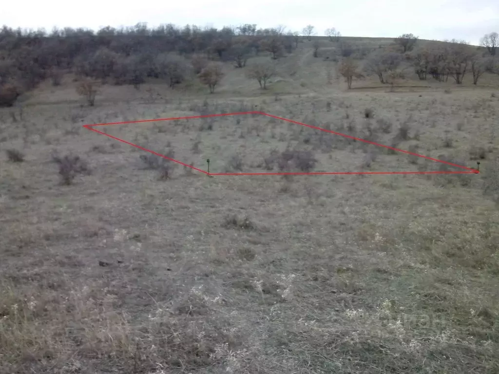 Участок в Крым, Алушта муниципальный округ, с. Малореченское  (10.0 ... - Фото 1