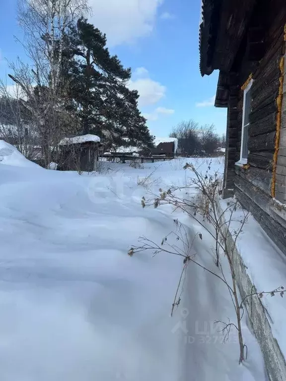 Дом в Алтай, Турочакский район, с. Турочак Лесной пер., 3 (38 м) - Фото 1