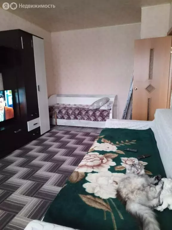 1-комнатная квартира: посёлок Увельский, улица Сафонова, 35 (31 м) - Фото 1