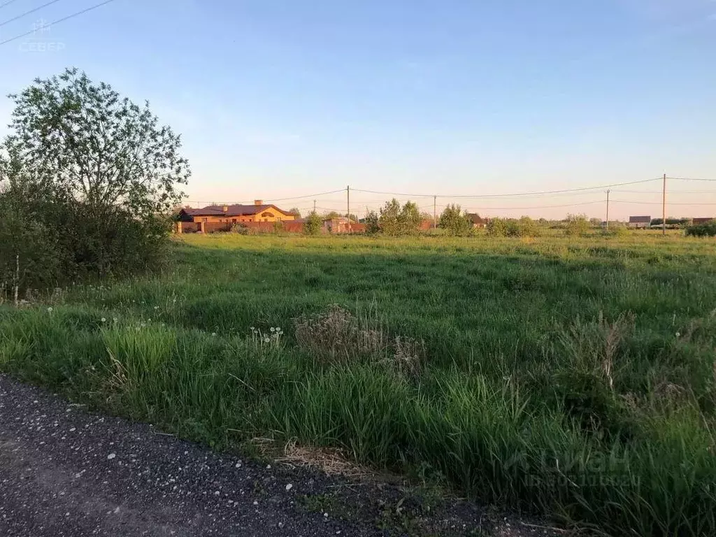 Участок в Новгородская область, Новгородский район, Савинское с/пос, ... - Фото 0