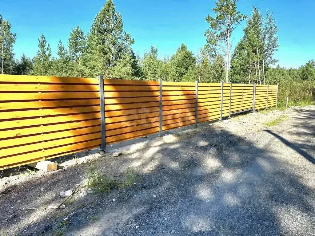 Участок в Тюменская область, Нижнетавдинский район, Лесная симфония кп ... - Фото 1