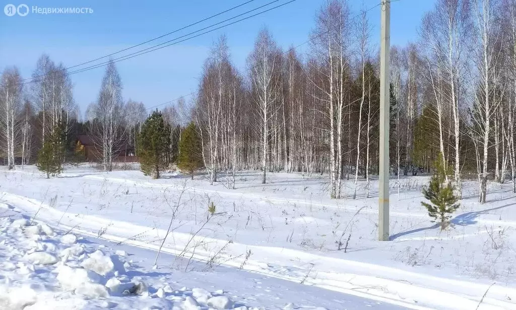 Участок в Нижнетавдинский район, садоводческое некоммерческое ... - Фото 1