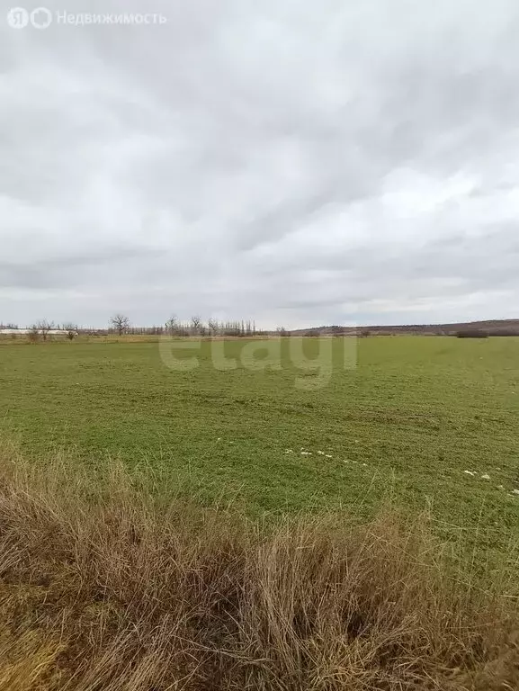 Участок в Белогорский район, Зеленогорское сельское поселение, село ... - Фото 2