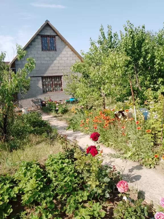 Дом в Волгоградская область, Светлоярский район, Кировское с/пос, ... - Фото 1