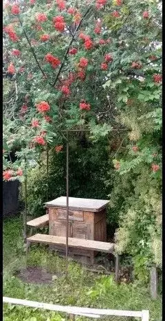 Дом в Алтайский край, Барнаул Власихинская ул., 67А (15 м) - Фото 2