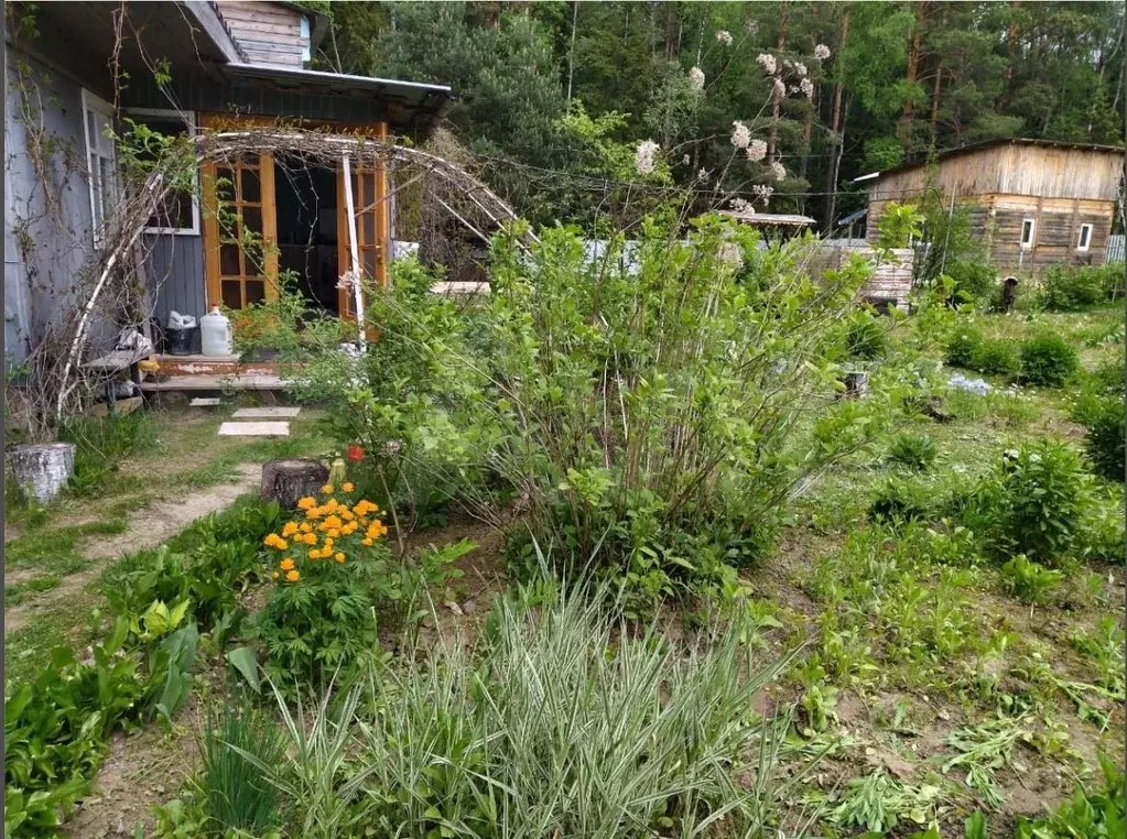 Участок в Калужская область, Перемышльский муниципальный округ, ... - Фото 2