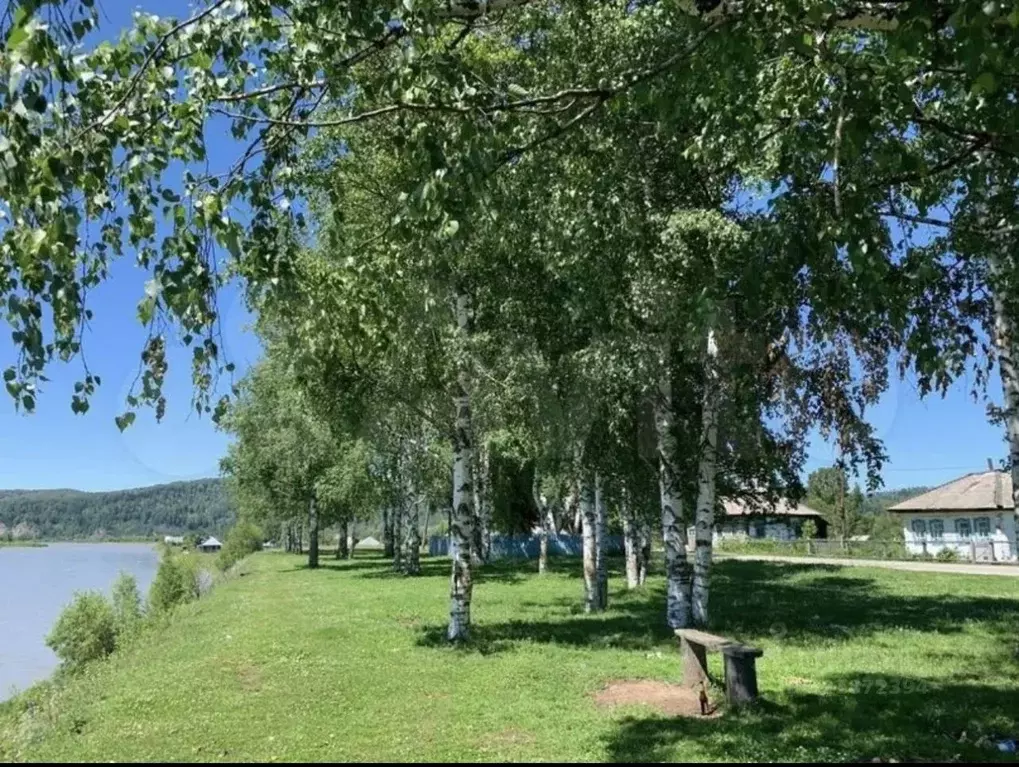 Участок в Алтай, Турочакский район, с. Дмитриевка Рабочая ул. (2604.0 ... - Фото 1