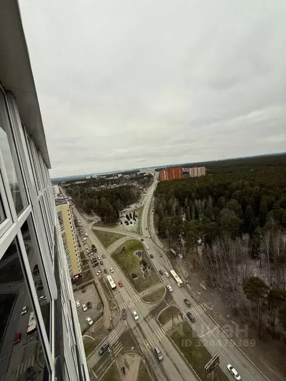 Студия Пермский край, Пермь ул. Калинина, 66 (21.8 м) - Фото 2