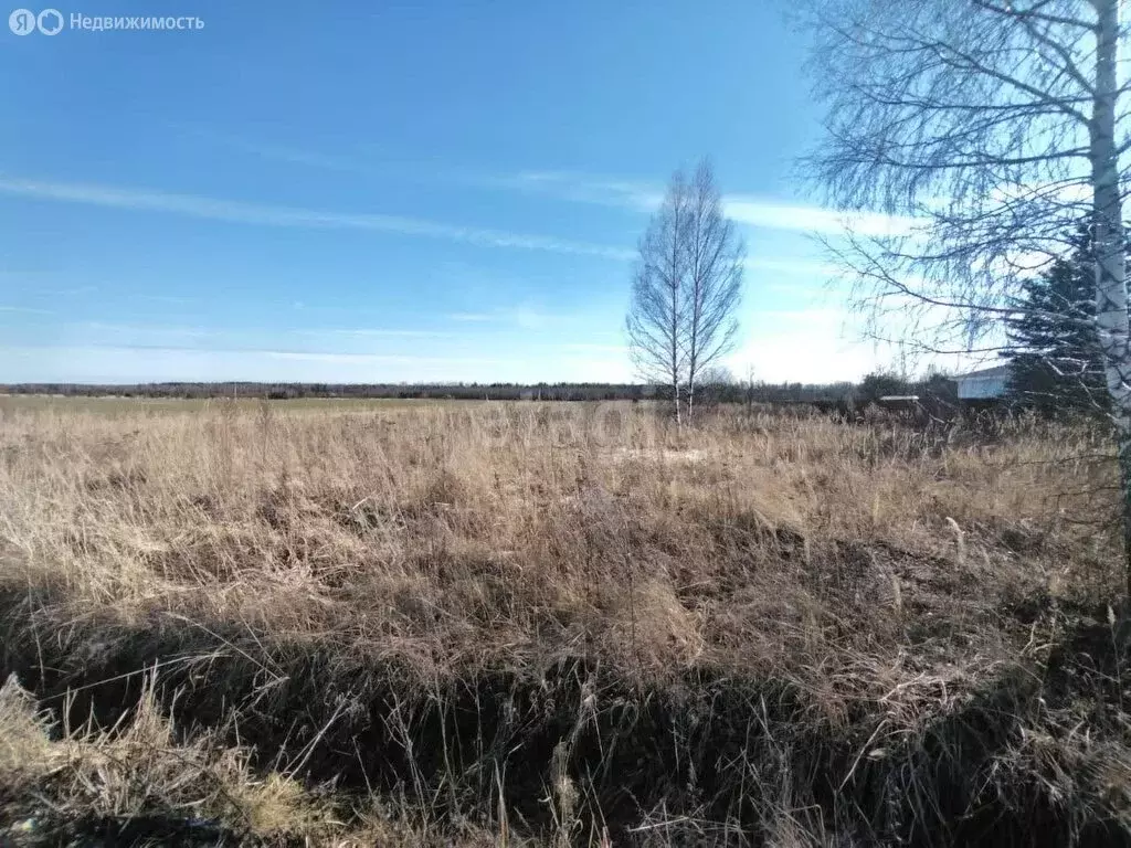 Участок в деревня Папулино, Новая улица (23 м) - Фото 0