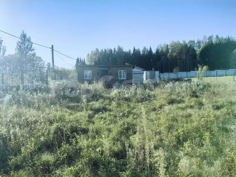 Участок в Московская область, Мытищи городской округ, д. Протасово ул. ... - Фото 0