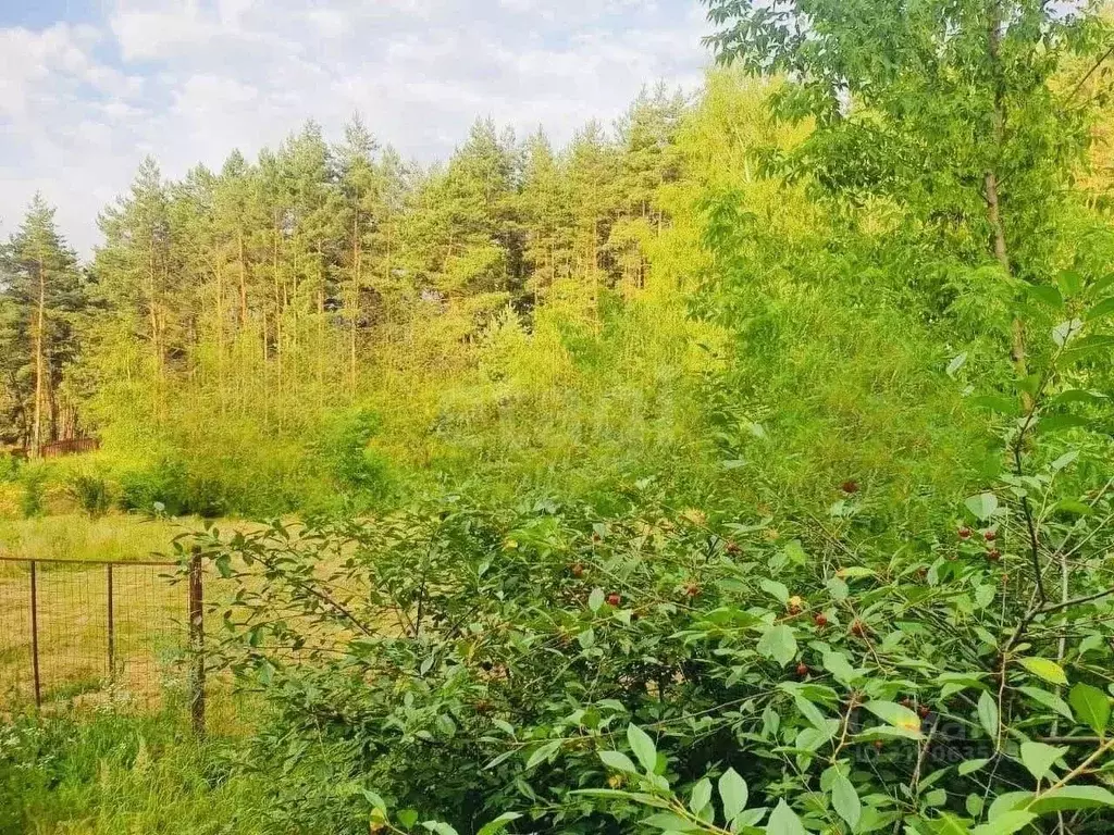 Участок в Курская область, Курский район, Моковский сельсовет, д. ... - Фото 0