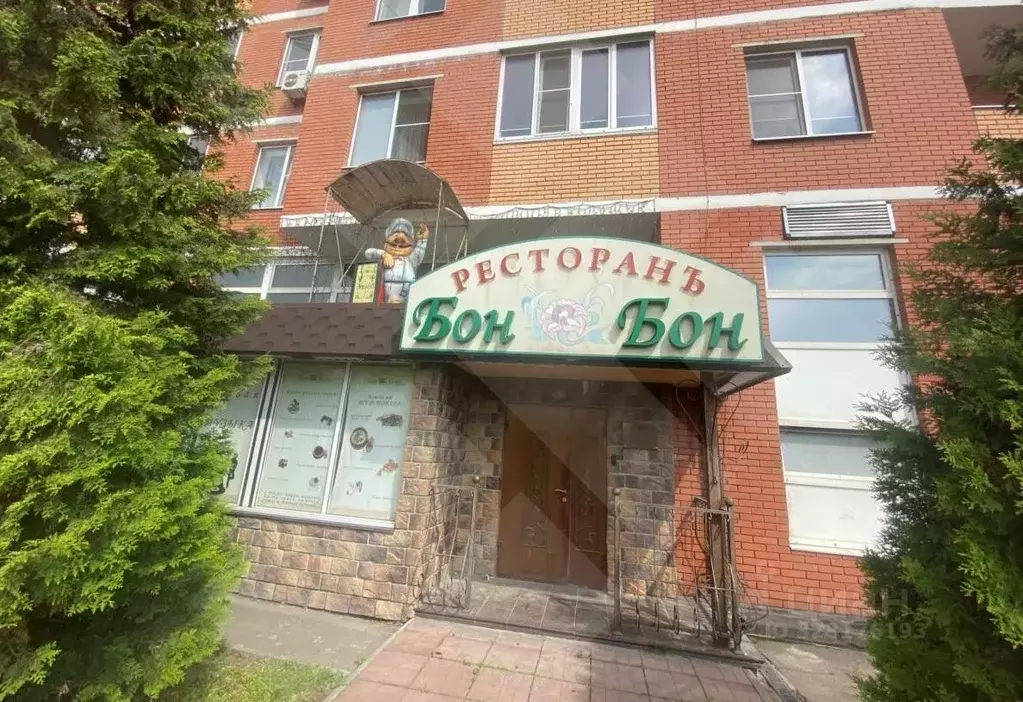 Помещение свободного назначения в Московская область, Видное ул. ... - Фото 1