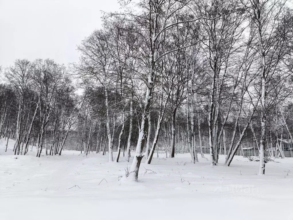 Участок в Московская область, Дмитровский муниципальный округ, д. ... - Фото 1