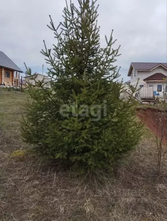 Участок в Пермский край, Краснокамский муниципальный округ, д. ... - Фото 2
