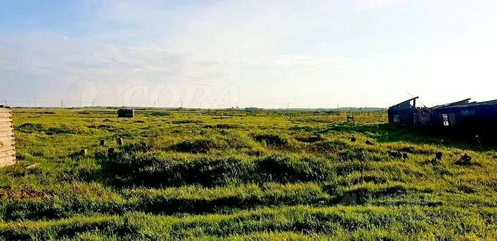 Участок в Тюменская область, Исетский район, с. Шорохово Малая ул. ... - Фото 0