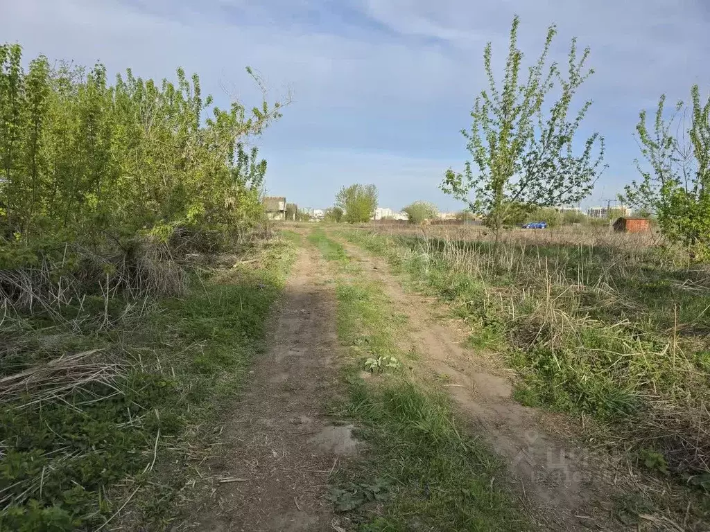 Участок в Брянская область, Брянский район, Снежское с/пос, пос. ... - Фото 2