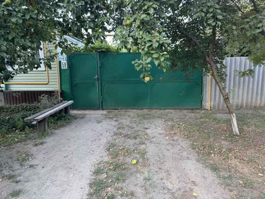 Дом в Воронежская область, Россошь ул. Серегина, 58 (43 м) - Фото 2