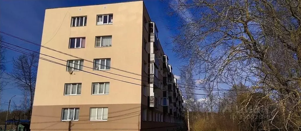 2-к кв. Ленинградская область, Светогорск Выборгский район, ул. ... - Фото 2