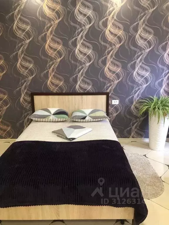 Студия Краснодарский край, Краснодар ул. Селезнева, 4/15к1 (28.0 м) - Фото 0