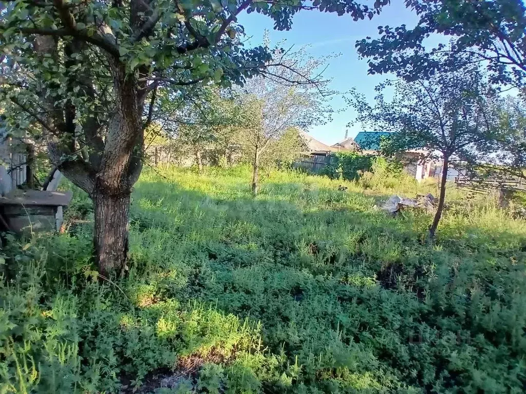 Дом в Белгородская область, Валуйский муниципальный округ, с. Ураево ... - Фото 1
