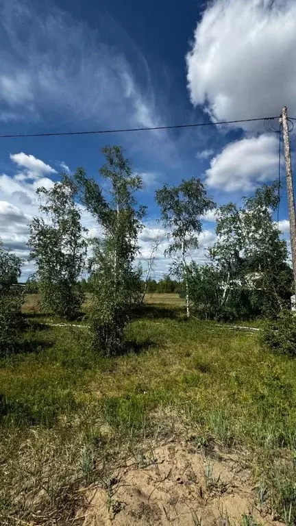 Участок в Саха (Якутия), Якутск Баал Заимката тер.,  (12.0 сот.) - Фото 0