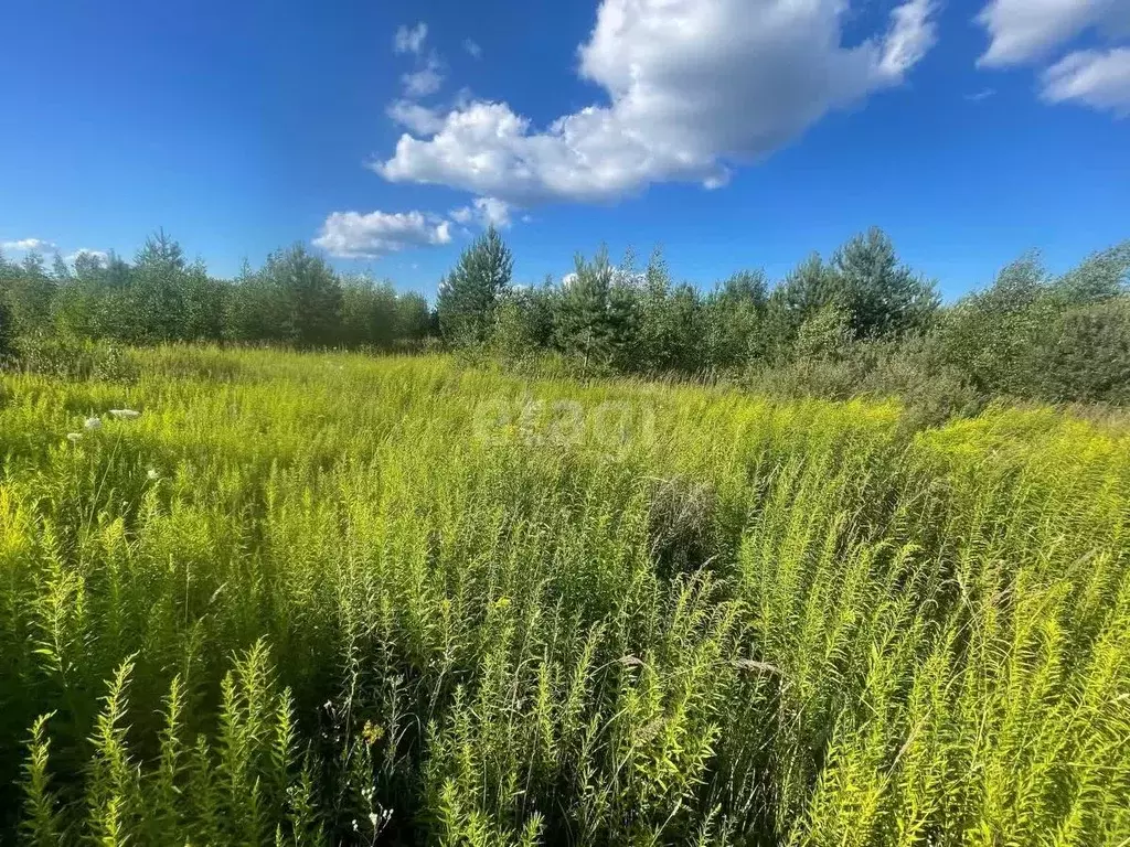 Участок в Нижегородская область, Кстовский муниципальный округ, с. ... - Фото 1