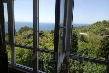 1-к кв. Крым, Ялта городской округ, Форос пгт ул. Северная, 43 (70.0 ... - Фото 1