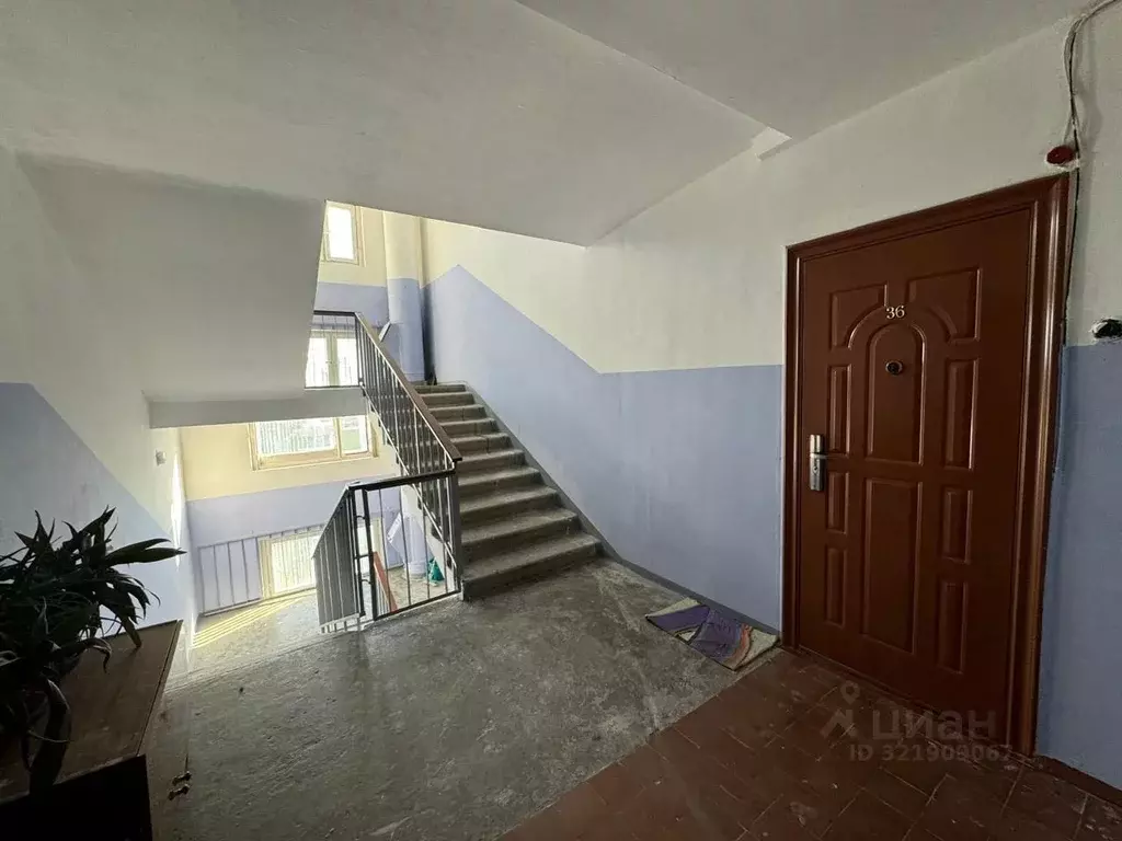 1-к кв. Крым, Ялта муниципальный округ, Массандра пгт ул. Винодела ... - Фото 2