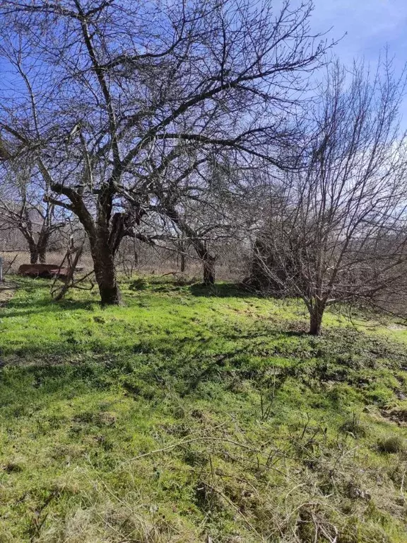 Участок в Крым, Симферопольский район, 3-й массив садовые участки ул. ... - Фото 1
