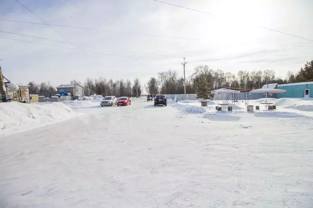 Торговая площадь в Тюменская область, Тюмень Якорь садовое ... - Фото 2