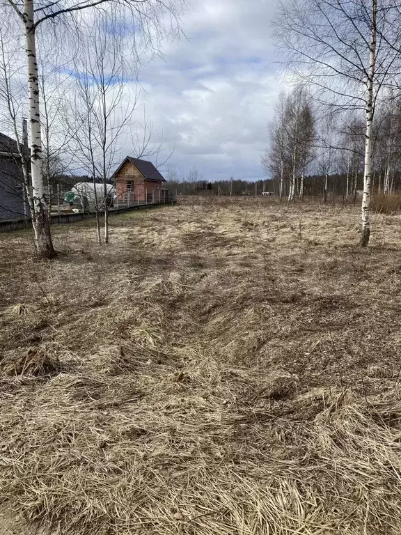 Участок 11 сот. (ИЖС) - Фото 1