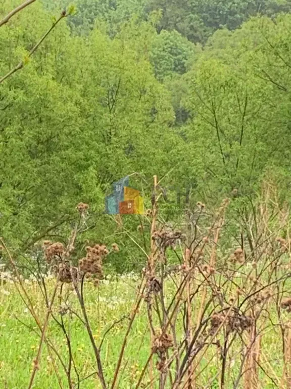 Участок в Тульская область, Тула городской округ, с. Алешня ул. ... - Фото 2