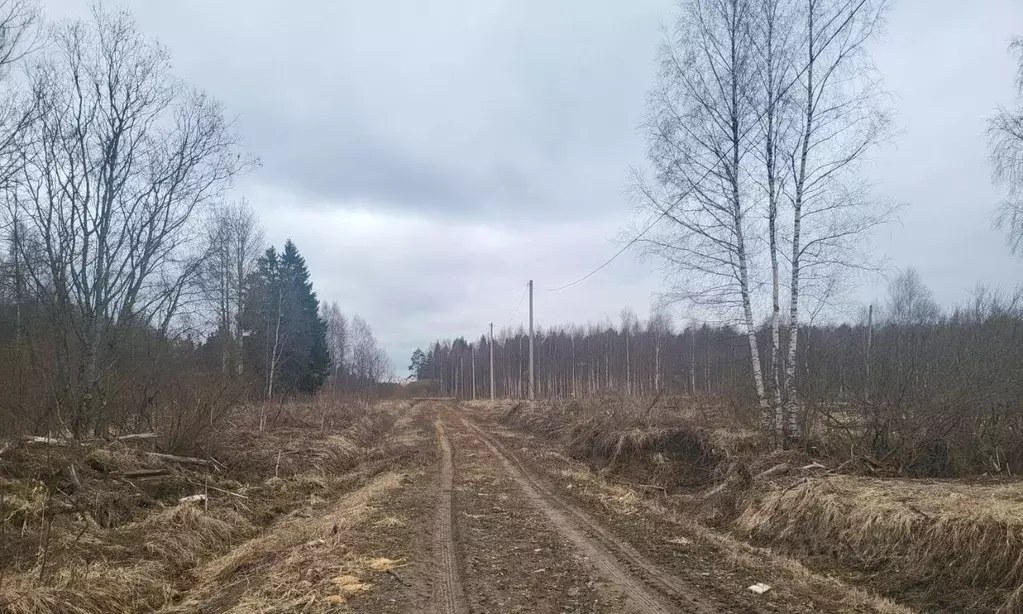 Участок в Тверская область, Конаковский муниципальный округ, Усадьба в ... - Фото 1