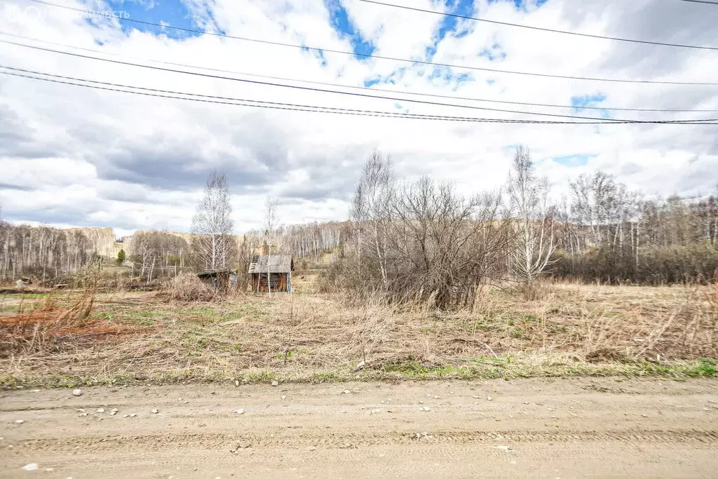 Участок в Барышевский сельсовет, садовое некоммерческое товарищество ... - Фото 1