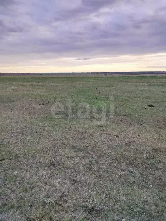 Участок в Саратовская область, Марксовский район, Зоркинское ... - Фото 1