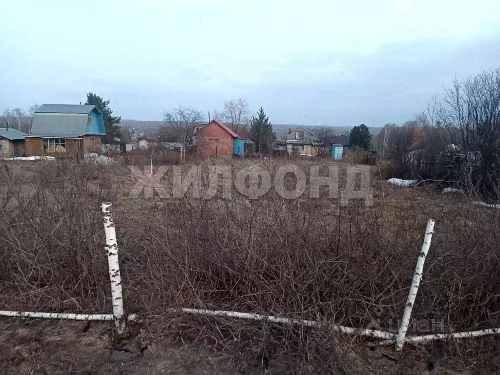 Участок в Новосибирская область, Новосибирский район, Барышевский ... - Фото 1