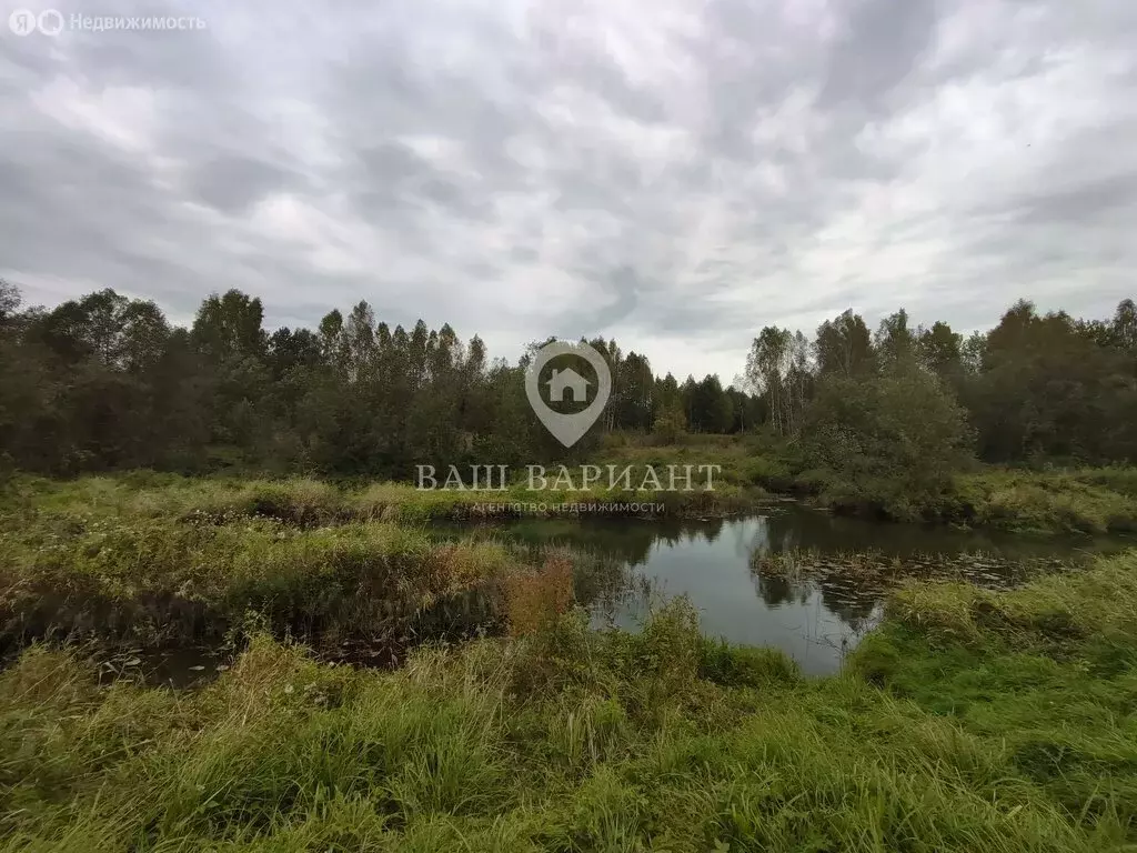Участок в Ярославская область, Рыбинский муниципальный округ, деревня ... - Фото 2