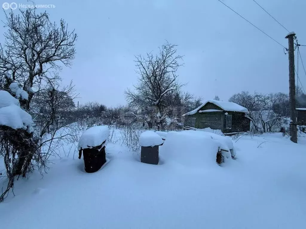 Участок в Кострома, СТ Просвещенец (3.4 м) - Фото 1